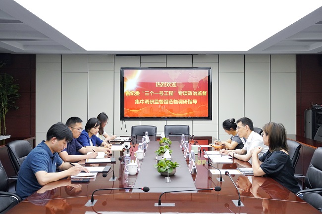 省紀(jì)委“三個(gè)一號工程”專項(xiàng)政治監(jiān)督集中調(diào)研監(jiān)督組來我司調(diào)研